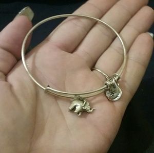 Alex and Ani